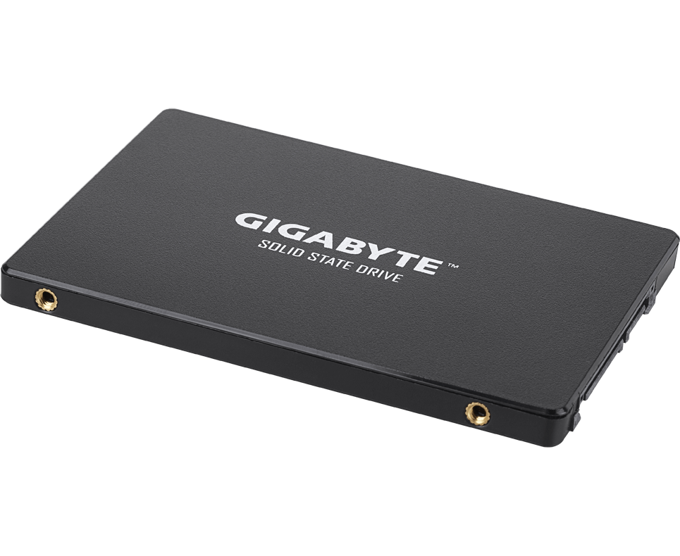 Твердотельный накопитель 256 Gb SSD Gigabyte (GP-GSTFS31256 GTND)