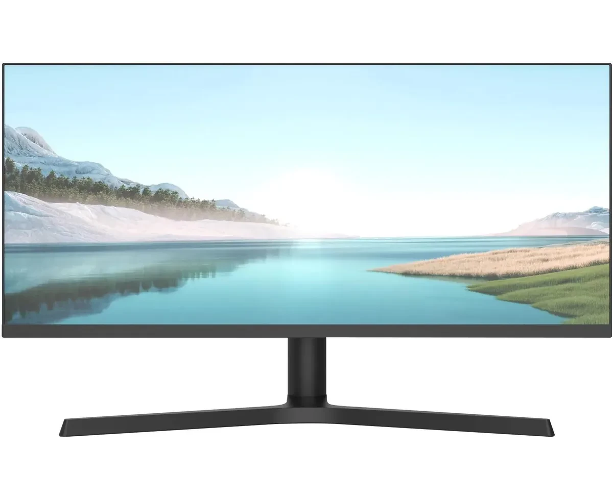 Монитор NPC MZ300 L черный