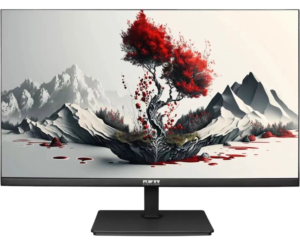 Монитор RDW COMPUTERS RDW2401 K (2401 K/F00 В0100 V2 A1 H) "R", 1920x1080, IPS, 1х HDMI, черный