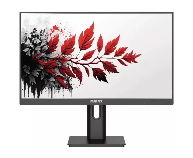 Монитор RDW Computers RDW2701 K/Q15 В0100 V2 A1 черный IPS 1ms HDMI M/M 350cd 178гр/178гр 2560x1440 100 Hz DP QHD USB (RUS)
