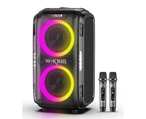 Портативная колонка W-King T9 PRO (Two mic)