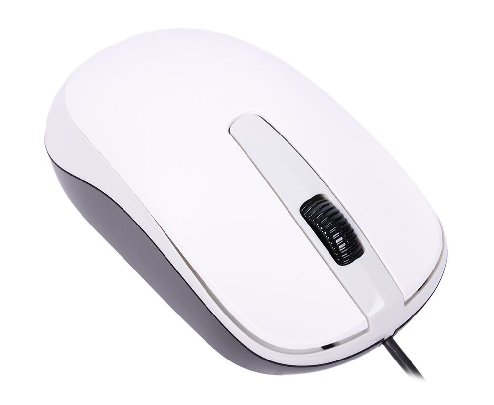 Мышь Genius DX-120 белая