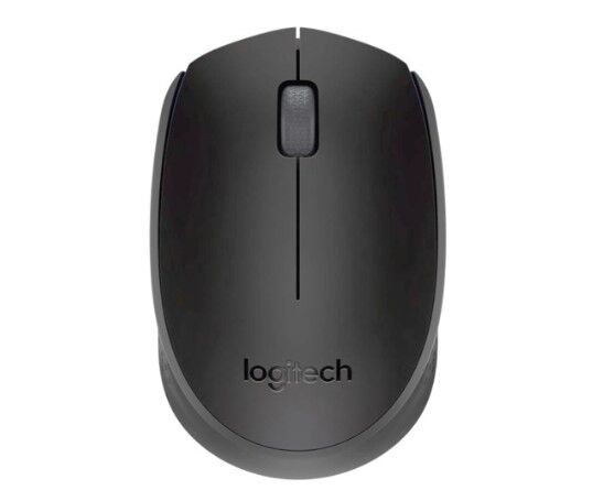 Мышь Logitech M171 (910-004643) black (USB, беспроводная оптическая, 1000dpi)