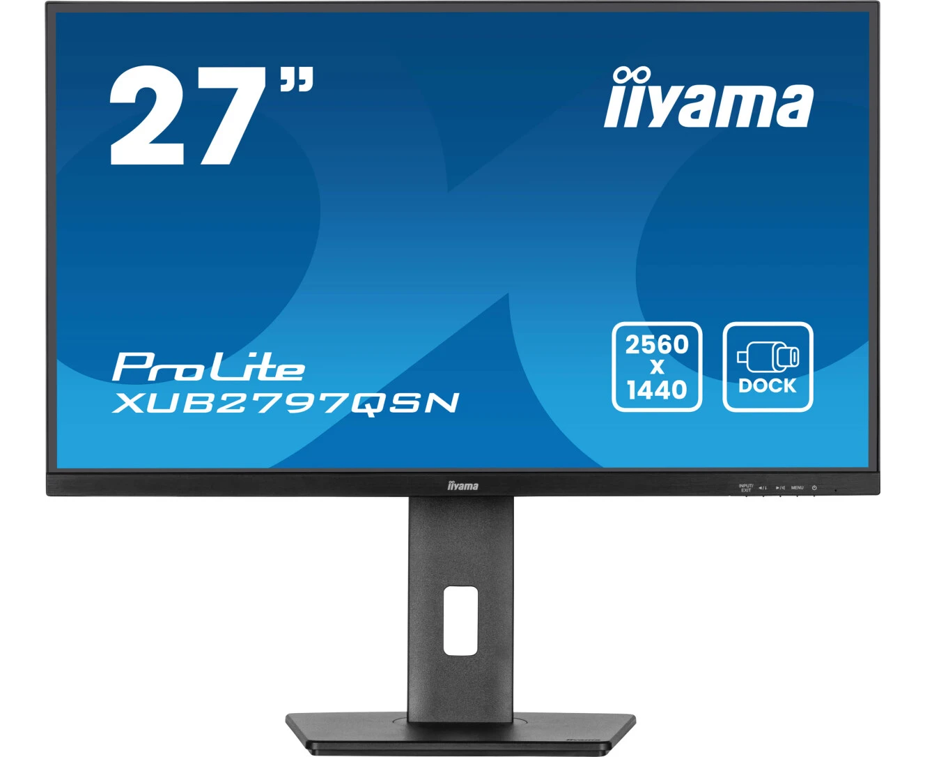 Монитор Iiyama Pro Lite 27" XUB2797 QSN-B2