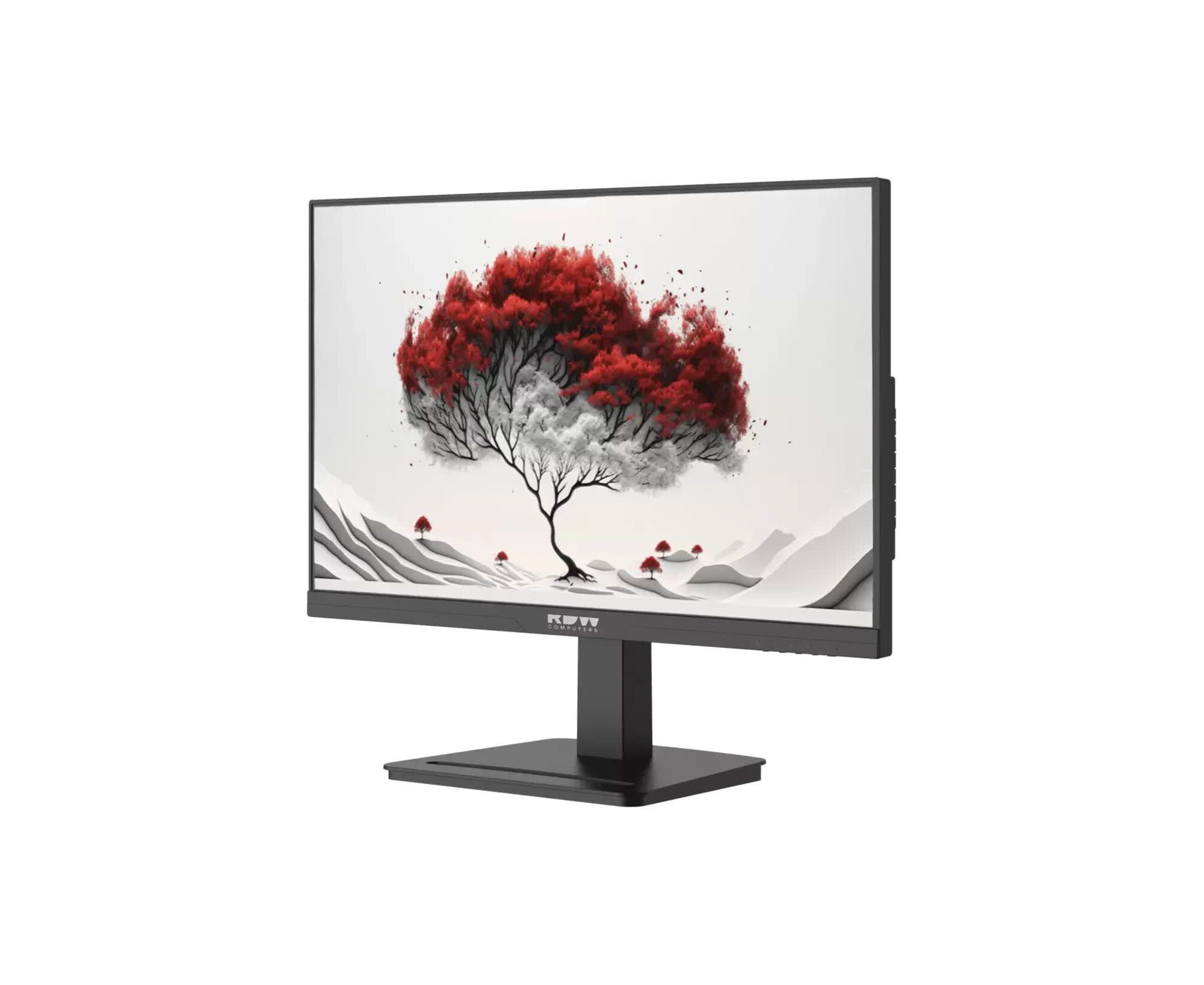 Монитор RDW Computers RDW2401 K (2401 K/F08 В0120 V2 A1 B) черный IPS 4ms HDMI M/M 350cd 178гр/178гр 1920x1080 120 Hz VGA DP FHD USB (RUS)