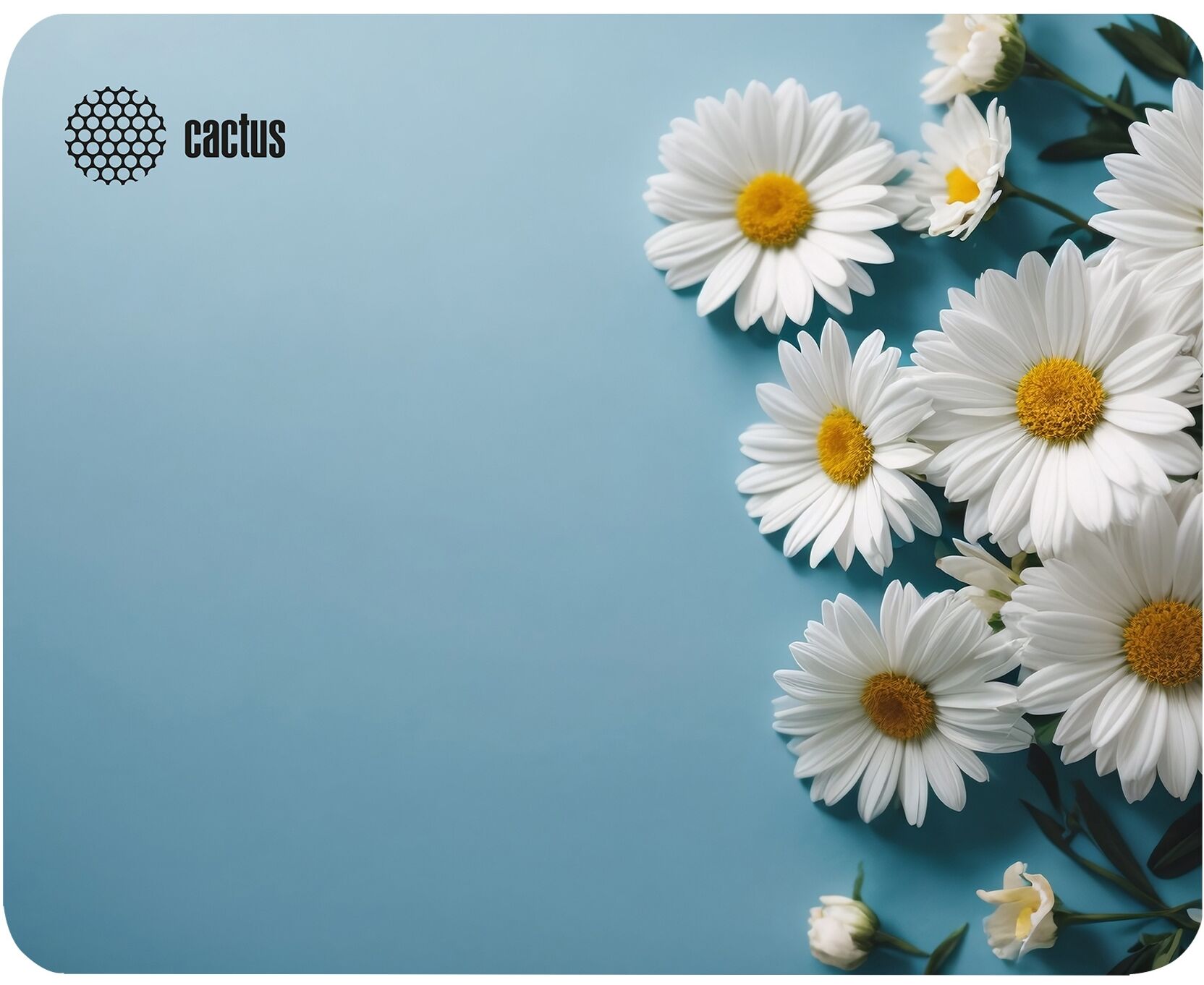Коврик для мыши Cactus CS-MP-D07 S Daisies