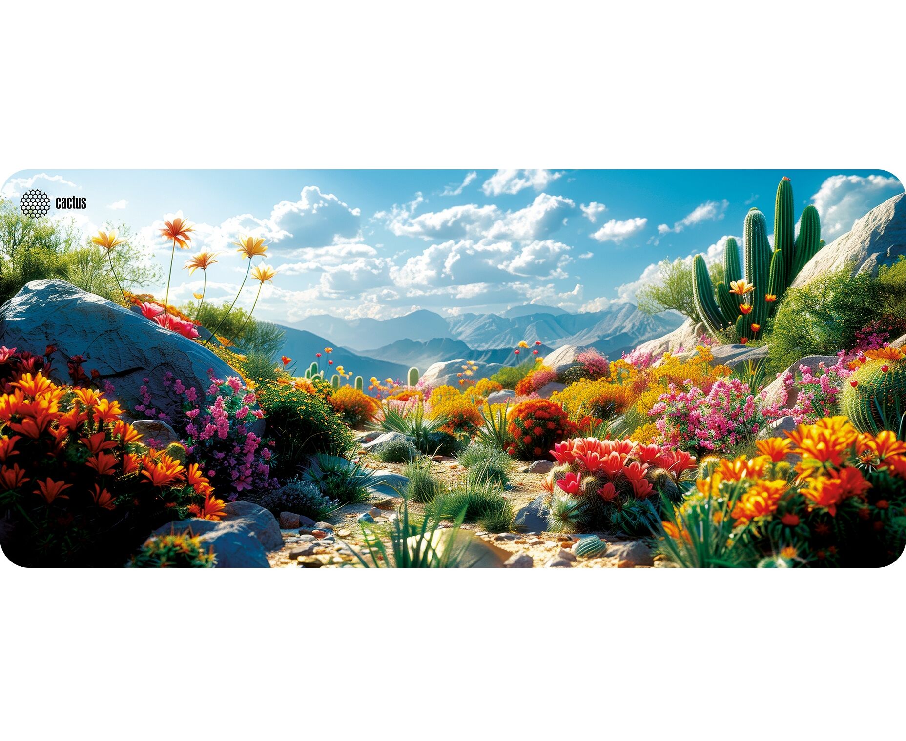 Коврик для мыши Cactus CS-MP-PRO15 XXL Desert landscape 900x400x3мм
