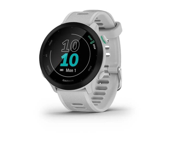 Smart-часы Garmin Forerunner 55 (010-02562-11) White