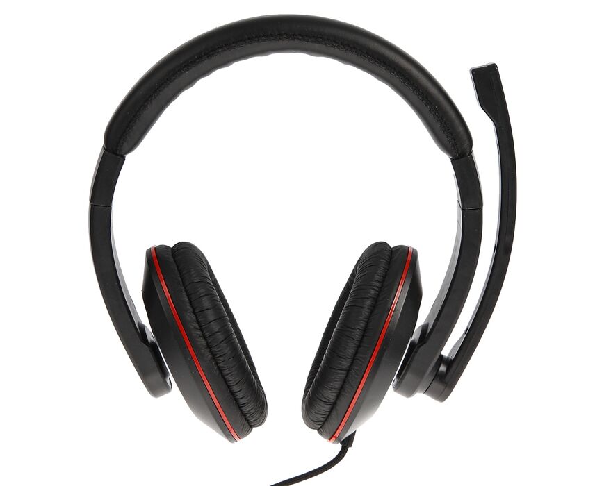 Гарнитура Ritmix RH-516 М Black, мониторный тип O40 мм, микрофон на жёсткой ножке, регулируемое оголовье, регулятор громкости, 3.5 mm jack, кабель: 3 м, тканевая оплётка