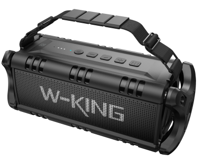 Портативная колонка W-King D8 (черный)