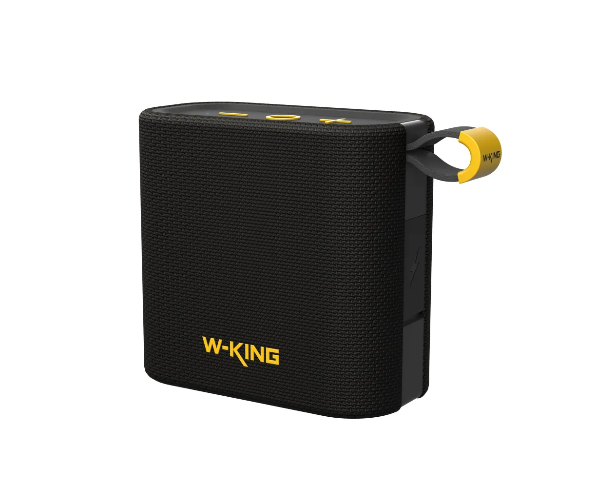 Портативная колонка W-King D2 (черный)
