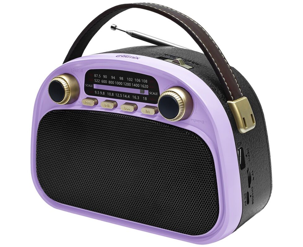 Радиоприемник RITMIX RPR-040 Lavender