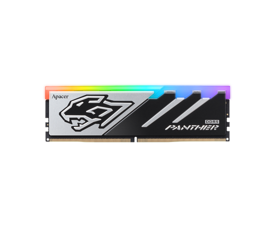 ОЗУ Apacer Panther RGB (AH5 U16 G60 C6229 BAA-1) 16 GB DDR5 DIMM PC5-48000