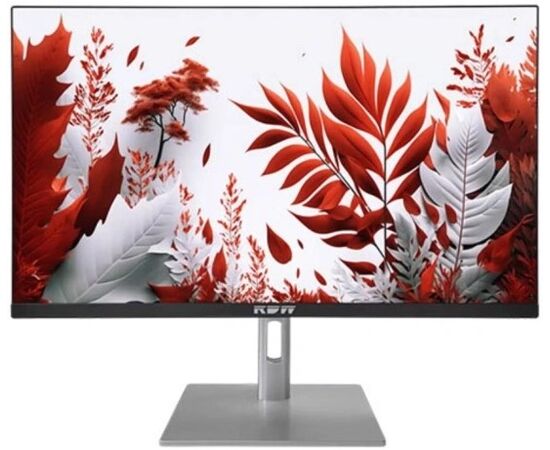 Монитор RDW Computers RDW2407 (2407 K/F14 В3120 V2 A1 B) черный/серебристый IPS 1ms HDMI M/M HAS Piv 300cd 178гр/178гр 1920x1080 120 Hz VGA DP FHD USB (RUS)